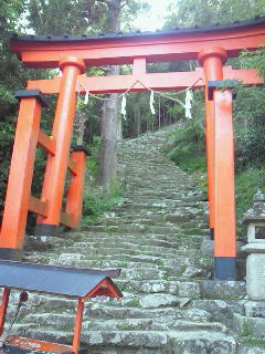 鷺ノ宮・中村橋・都立家政（中野区・練馬区）のマッサージサロンｗｉｓｈｔｉｍｅは子供連れＯＫ・女性専用・出張マッサージ